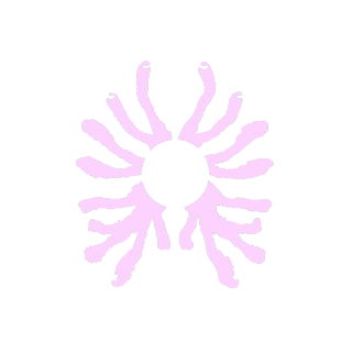 Archivo Nahuala